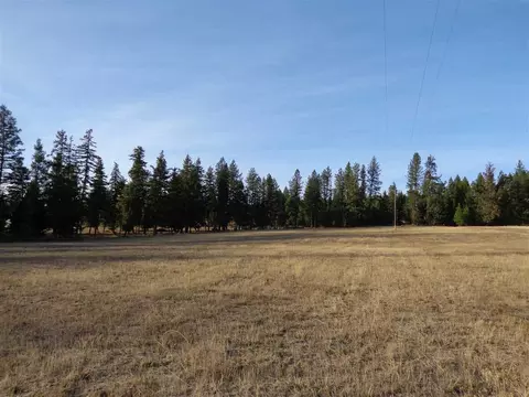 3718 E Bridges Rd, Elk, WA 99009 photo 5