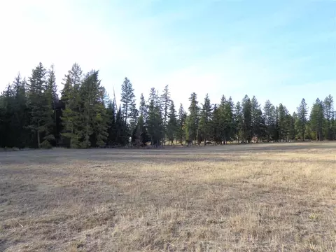 3718 E Bridges Rd, Elk, WA 99009 photo 9