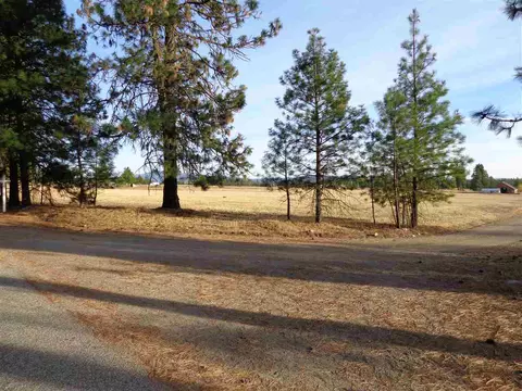 3718 E Bridges Rd, Elk, WA 99009 photo 3