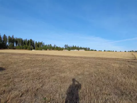 3718 E Bridges Rd, Elk, WA 99009 photo 8