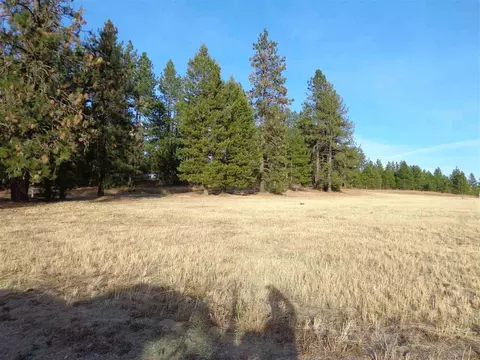 3718 E Bridges Rd, Elk, WA 99009 photo 7