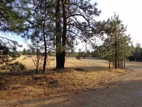 3718 E Bridges Rd, Elk, WA 99009 photo 11