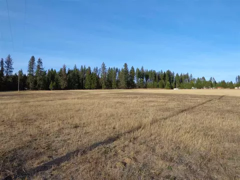 3718 E Bridges Rd, Elk, WA 99009 photo 2
