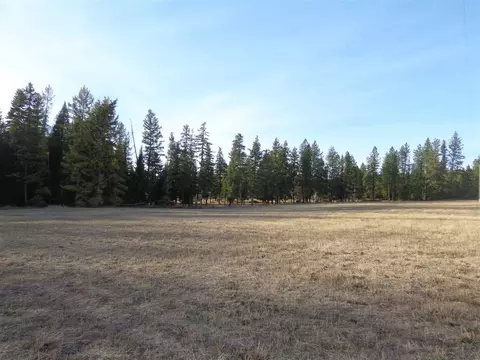 3718 E Bridges Rd, Elk, WA 99009 photo 6