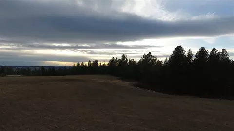 17611 N Dunn Rd, Colbert, WA 99005 photo 8