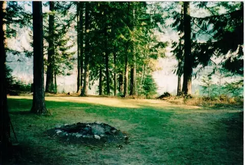 1259 Graham Rd, Cusick, WA 99119 photo 9