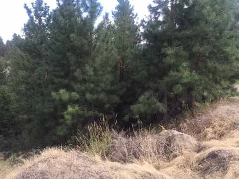 7624 E Ruby Ln, Spokane, WA 99202 photo 2