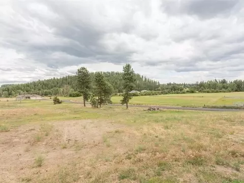 4505 E Streamside Ln, Colbert, WA 99005 photo 3