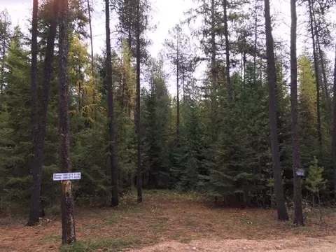 222 N Shadow Dr, Cusick, WA 99119 photo 3