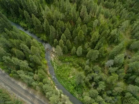 24816 N Perry Rd, Colbert, WA 99005 photo 17