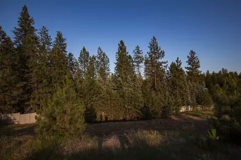 16630 N Columbus Dr, Colbert, WA 99208 photo 5