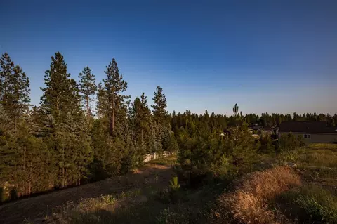 16630 N Columbus Dr, Colbert, WA 99208 photo 4