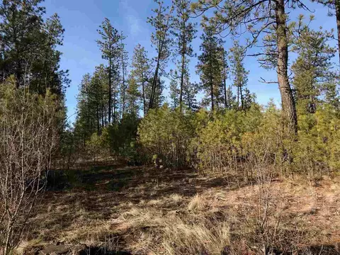 24 W Cameron Rd, Spangle, WA 99031 photo 5