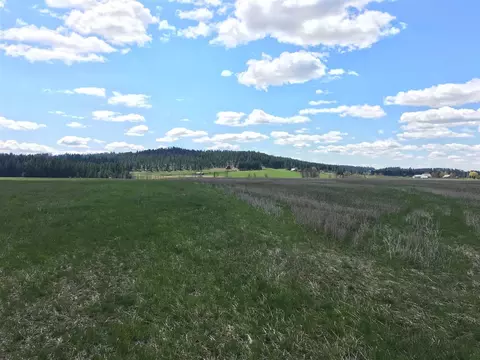 8704 E Big Meadows Rd #PARCEL C, Colbert, WA 99005 photo 12