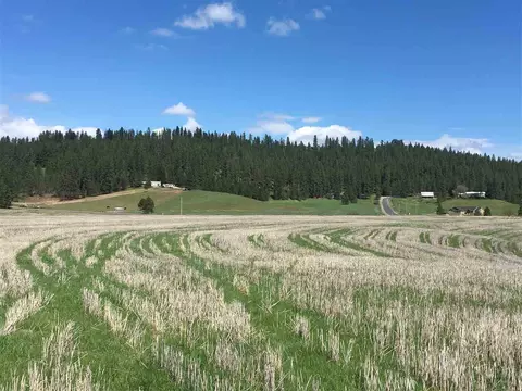8704 E Big Meadows Rd #PARCEL C, Colbert, WA 99005 photo 4
