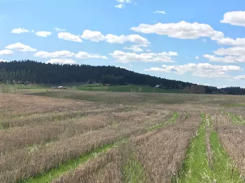 8704 E Big Meadows Rd #PARCEL C, Colbert, WA 99005 photo 11