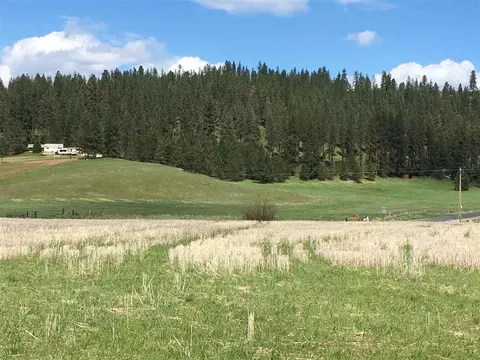 8704 E Big Meadows Rd #PARCEL C, Colbert, WA 99005 photo 3