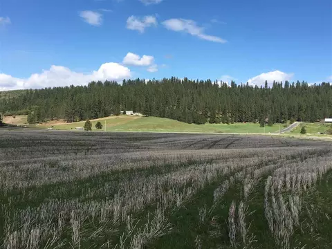 8704 E Big Meadows Rd #PARCEL C, Colbert, WA 99005 photo 8