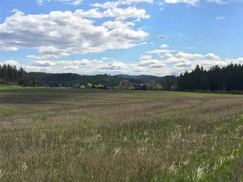 8704 E Big Meadows Rd #PARCEL C, Colbert, WA 99005 photo 6
