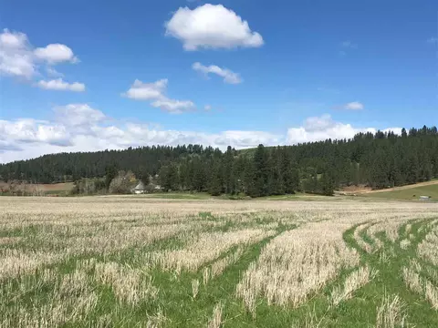 8704 E Big Meadows Rd #PARCEL C, Colbert, WA 99005 photo 5