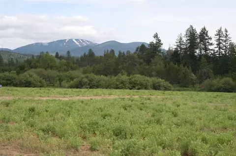 12020 E Nelson Rd, Elk, WA 99009 photo 18