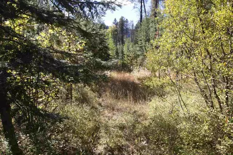 261 Farber Ln, Cusick, WA 99119 photo 4