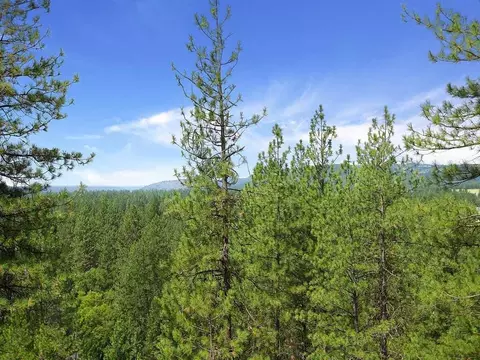 707 E Roundtable Cir, Spokane, WA 99218 photo 19