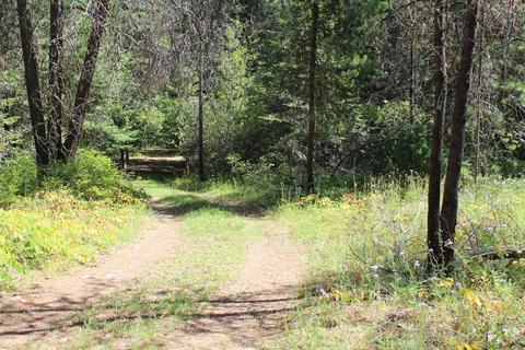 1113 E Joyner Dr, Cusick, WA 99119 photo 17