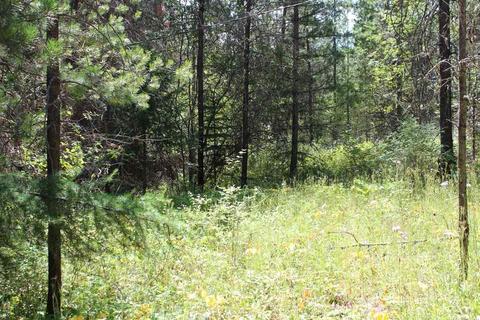 1113 E Joyner Dr, Cusick, WA 99119 photo 15