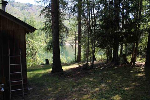 1113 E Joyner Dr, Cusick, WA 99119 photo 5