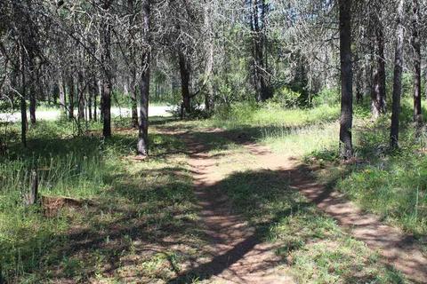 1113 E Joyner Dr, Cusick, WA 99119 photo 18