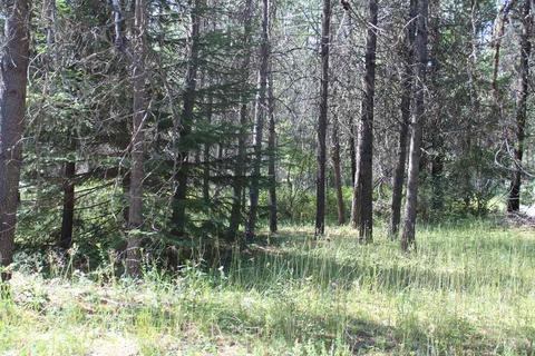 1113 E Joyner Dr, Cusick, WA 99119 photo 16