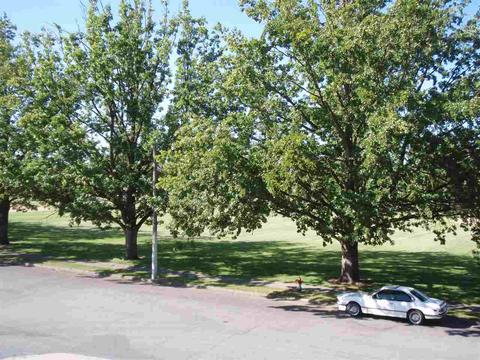 2802 E Sinto Ave, Spokane, WA 99202 photo 8