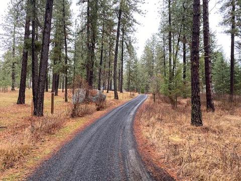 3710 W Woolard Rd, Colbert, WA 99005 photo 18