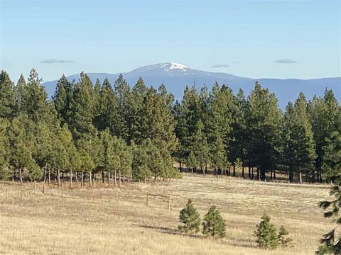 3710 W Woolard Rd, Colbert, WA 99005 photo 4