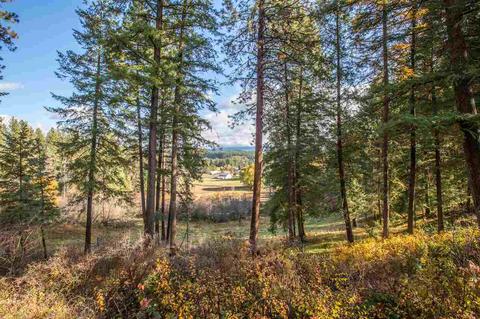 1514 E Riverview Dr, Colbert, WA 99005 photo 19