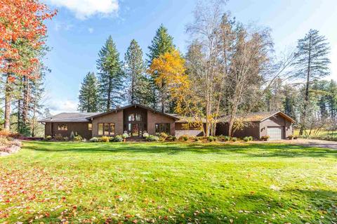 1514 E Riverview Dr, Colbert, WA 99005 photo 1
