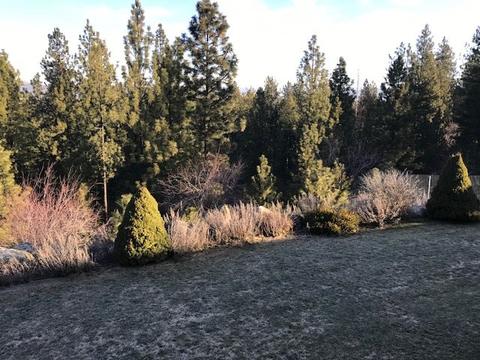 6509 E 14th Ave, Spokane Valley, WA 99212 photo 19