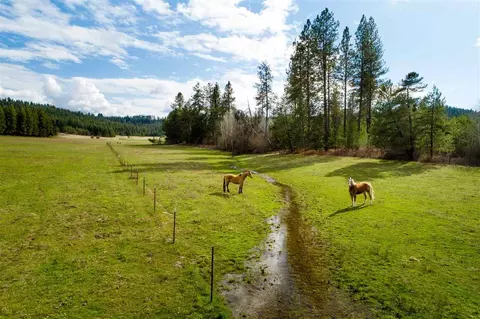 9510 E Woolard Rd, Colbert, WA 99005 photo 19