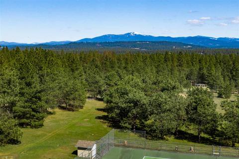 21702 N Perry Rd, Colbert, WA 99005 photo 8