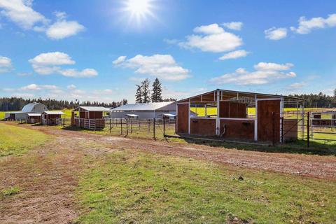 309 E Insert Rd, Deer Park, WA 99006 photo 28