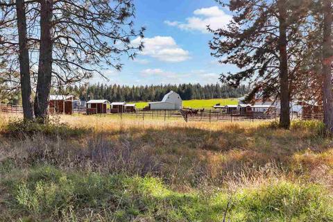 309 E Insert Rd, Deer Park, WA 99006 photo 27