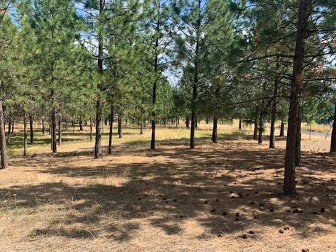 3626 W Woolard Rd, Colbert, WA 99005 photo 1