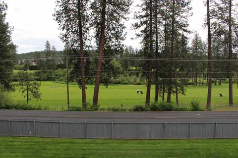 14218 N Wanderview Ln, Spokane, WA 99208 photo 19