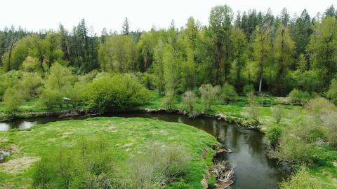 1926 E Forest Ln, Colbert, WA 99005 photo 2