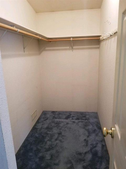 4120 E Brave Rd, Colbert, WA 99005 photo 11