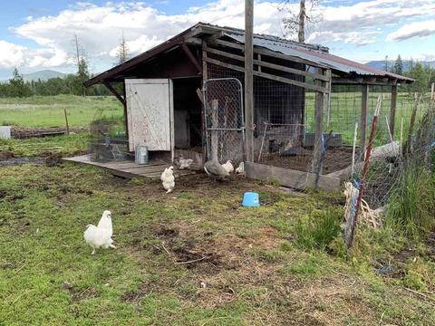 502 Bond Rd, Cusick, WA 99119 photo 8