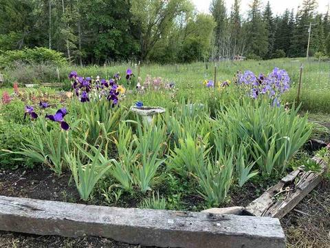 502 Bond Rd, Cusick, WA 99119 photo 5