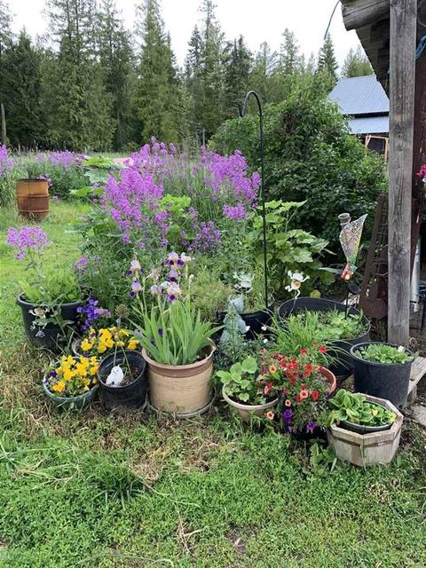 502 Bond Rd, Cusick, WA 99119 photo 3