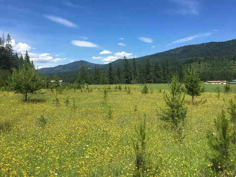 201 Barber Rd, Cusick, WA 99119 photo 6